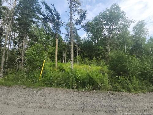 21-01 Sunset Dr, Bayside, NB 