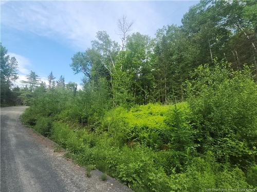 21-01 Sunset Dr, Bayside, NB 