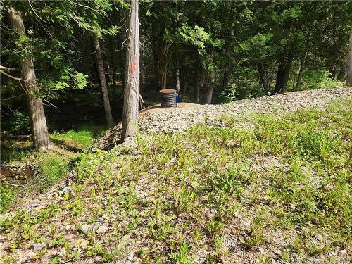 00 A Parent Rd, Saint-Quentin, NB 