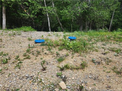 00 A Parent Rd, Saint-Quentin, NB 