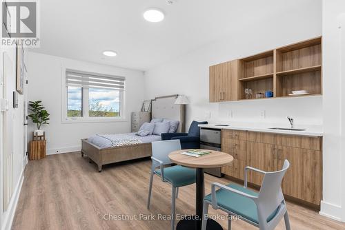 (STUDIO SUITE) - 520 ISAAC STREET , Gravenhurst (Muskoka (S)), Ontario P1P 1G1 3
