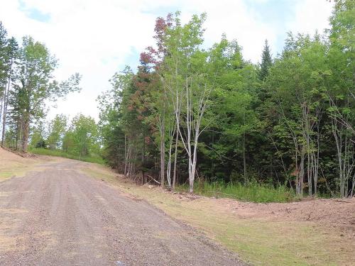 2601 Highway 337 Antigonish Harbour, N.S., Antigonish Harbour, NS - Outdoor With View