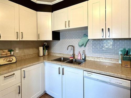 6080 Highway 11, Emo, ON - Indoor Photo Showing Kitchen With Double Sink