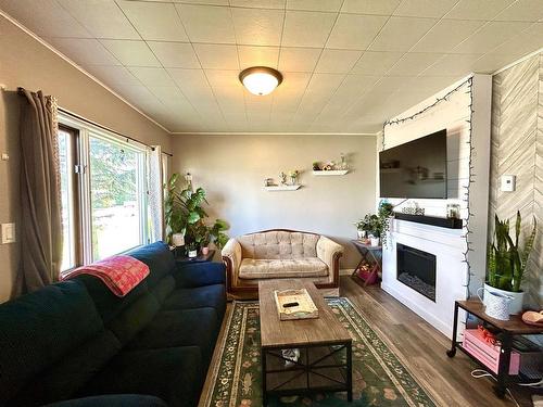 6080 Highway 11, Emo, ON - Indoor Photo Showing Living Room With Fireplace