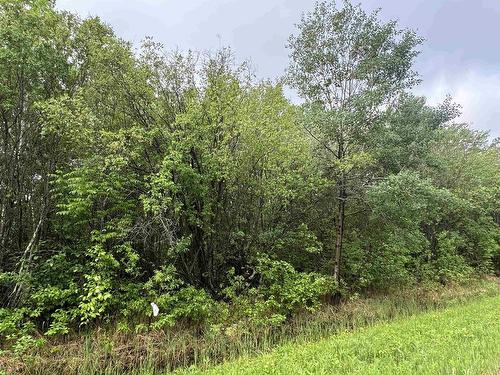 Pcl 11483 Budreau Rd, Rainy River, ON 