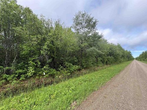 Pcl 11483 Budreau Rd, Rainy River, ON 