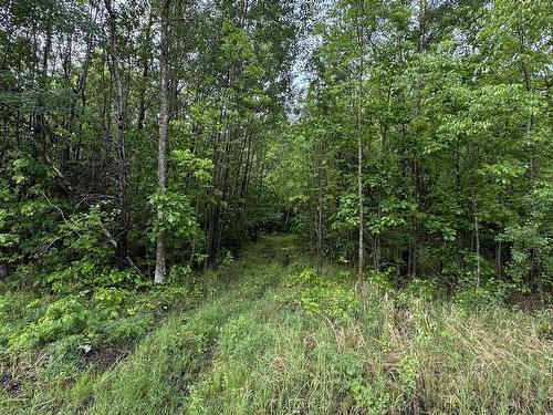 Pcl 11483 Budreau Rd, Rainy River, ON 