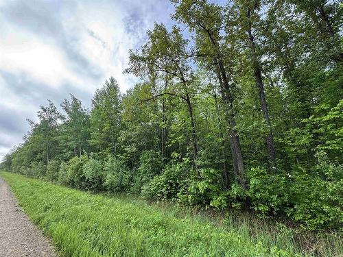 Pcl 11483 Budreau Rd, Rainy River, ON 