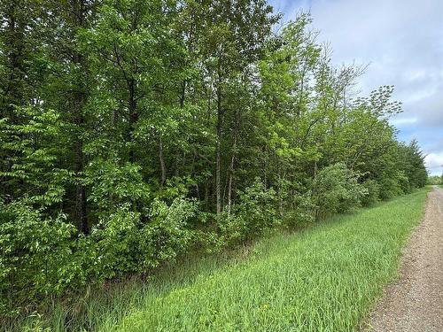 Pcl 11483 Budreau Rd, Rainy River, ON 