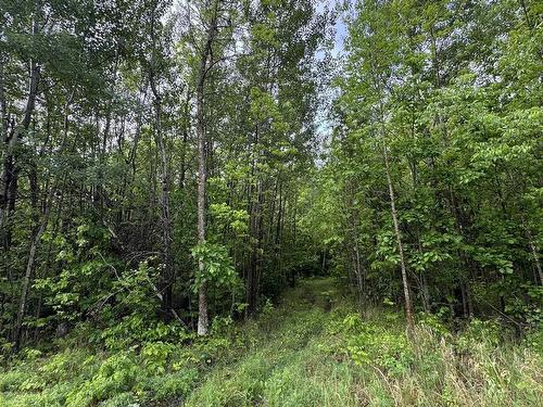 Pcl 11483 Budreau Rd, Rainy River, ON 