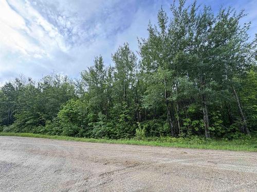 Pcl 11483 Budreau Rd, Rainy River, ON 