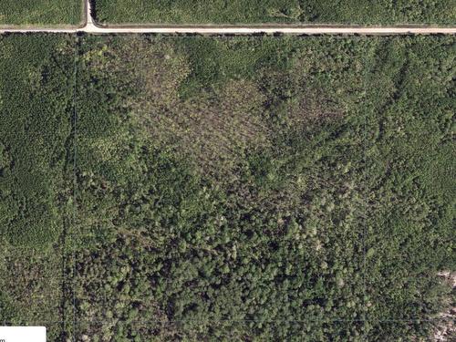 Pcl 11483 Budreau Rd, Rainy River, ON 