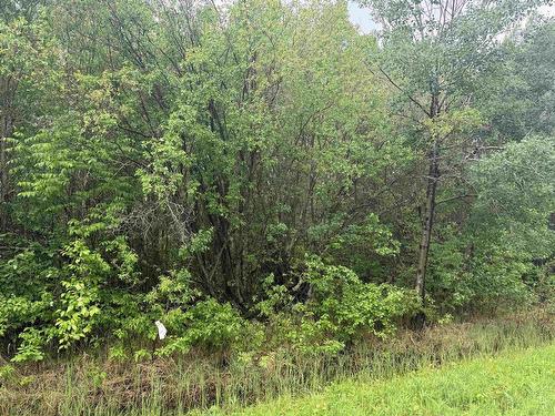Pcl 11483 Budreau Rd, Rainy River, ON 