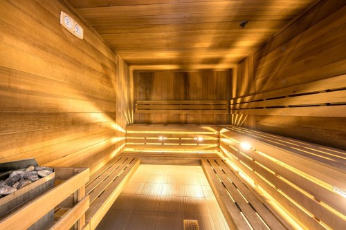 Sauna - 2903-1288 Av. Des Canadiens-De-Montréal, Montréal (Ville-Marie), QC - Indoor Photo Showing Other Room