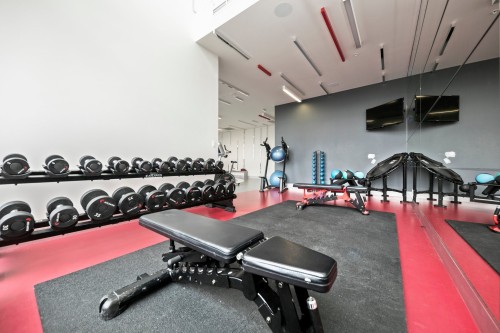 Salle d'exercice - 2903-1288 Av. Des Canadiens-De-Montréal, Montréal (Ville-Marie), QC - Indoor