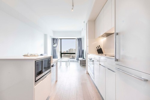 Salon - 2903-1288 Av. Des Canadiens-De-Montréal, Montréal (Ville-Marie), QC - Indoor Photo Showing Kitchen With Upgraded Kitchen