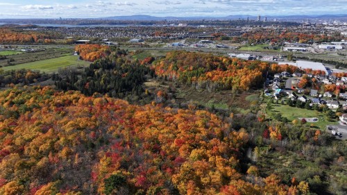 Aerial View - Rue Jacques-Nau, Lévis (Desjardins), QC 
