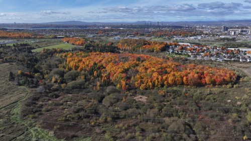 Aerial View - Rue Jacques-Nau, Lévis (Desjardins), QC 