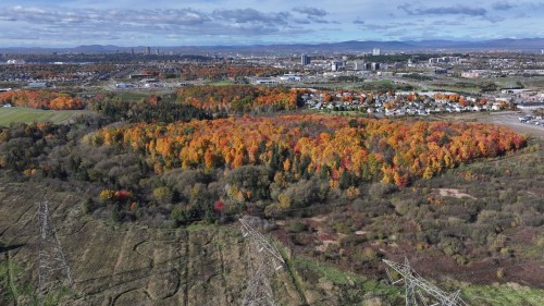 Aerial View - Rue Jacques-Nau, Lévis (Desjardins), QC 