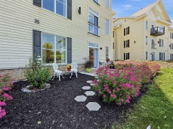 Terrasse - 