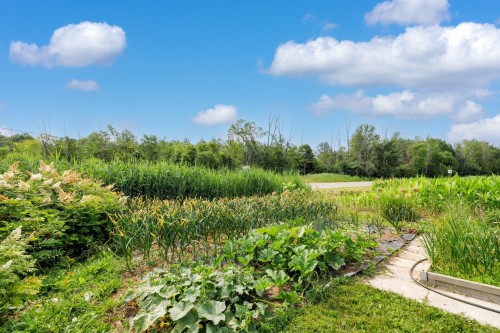 Jardin - 81 Route 223, Lacolle, QC 