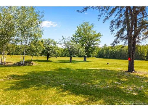 Camp/Lot Dufferin Rd, Chipman, NB 