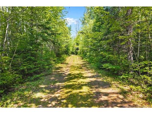 Camp/Lot Dufferin Rd, Chipman, NB 