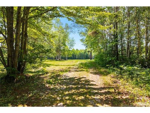 Camp/Lot Dufferin Rd, Chipman, NB 