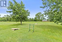 Green space just beyond the backyard - 