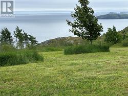 71 Flatrock Road  Freshwater , Carbonear, NL A1Y 1C6