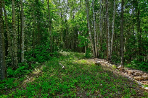 Autre - Ch. Du Lac-Rochemaure, Saint-Donat, QC 