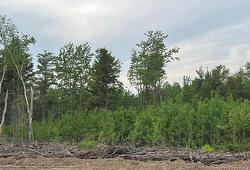 24-02 Chultun CRT  Lower Coverdale, NB E1J 1E5