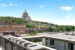 View - 