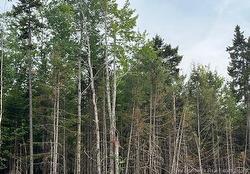 24-05 Chultun CRT  Lower Coverdale, NB E1J 1E5