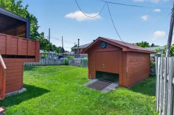 Shed - 