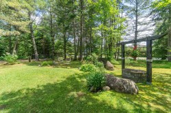 Lot - 