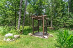 Lot - 