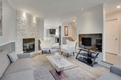 Salon - 11 Rue De L'Orbite, Gatineau (Hull), QC - Indoor Photo Showing Living Room With Fireplace