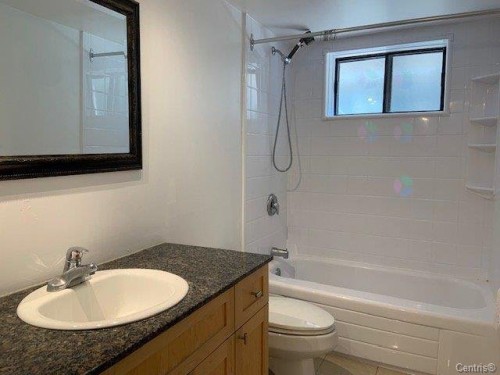 Salle de bains - 10061 Rue Jules-Crépeau, Montréal (Ahuntsic-Cartierville), QC - Indoor Photo Showing Bathroom