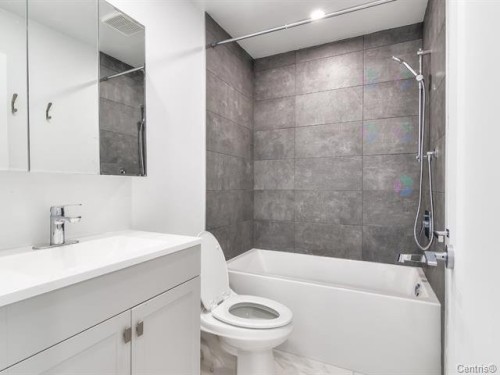 Salle de bains - 10067 Rue Jules-Crépeau, Montréal (Ahuntsic-Cartierville), QC - Indoor Photo Showing Bathroom