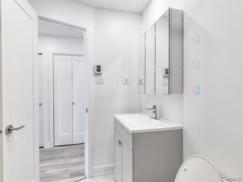 Salle de bains - 10067 Rue Jules-Crépeau, Montréal (Ahuntsic-Cartierville), QC - Indoor Photo Showing Bathroom