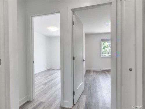 Hall d'entrée/Vestibule - 10067 Rue Jules-Crépeau, Montréal (Ahuntsic-Cartierville), QC - Indoor Photo Showing Other Room