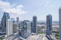 View - 