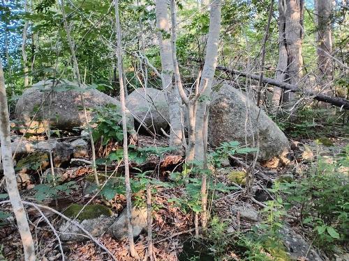 Lot Fraser Road, Princedale, NS 