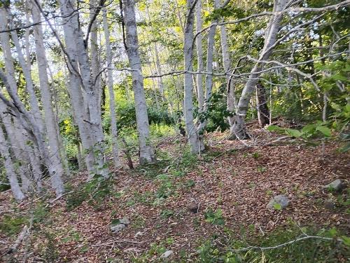 Lot Fraser Road, Princedale, NS 