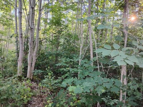 Lot Fraser Road, Princedale, NS 