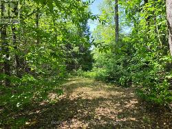 1160 BALMER ROAD North Kawartha, ON K0L 1A0