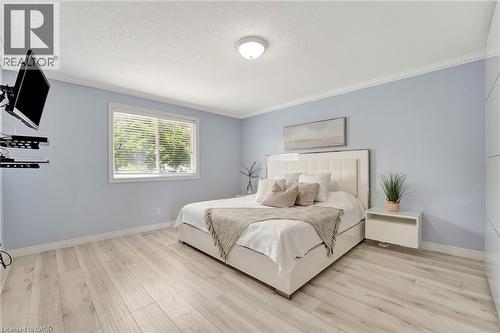 Light wood-finish flooring with white baseboards and crown molding - 35 Dubrick Crescent, Kitchener, ON 