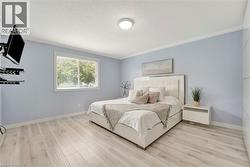 Light wood-finish flooring with white baseboards and crown molding - 