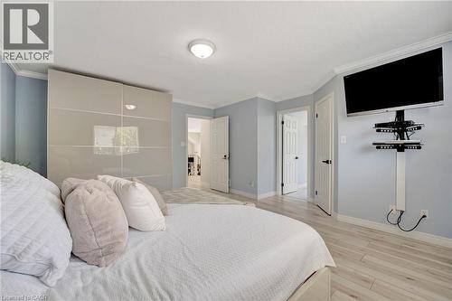 Light wood-finish flooring complements blue walls and white crown molding - 35 Dubrick Crescent, Kitchener, ON 